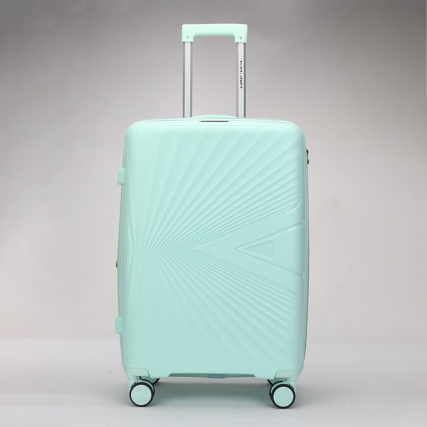 VALIJA AGARRATE CATALINA MEDIANA 24