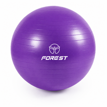 Cargar imagen en el visor de la galería, YOGA BALL  FOREST 55CM 17843