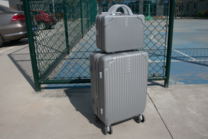 VALIJAS BAGCHERRY | 18" + Beauty | 20" |  100-101