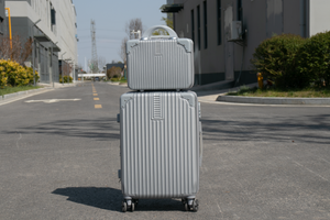 VALIJAS BAGCHERRY | 18" + Beauty | 20" |  100-101