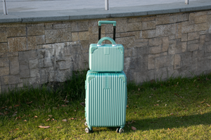 VALIJAS BAGCHERRY | 18" + Beauty | 20" |  100-101