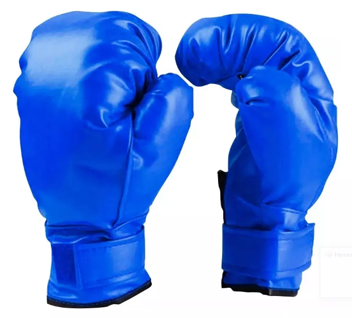 GUANTES DE BOXEO 5163